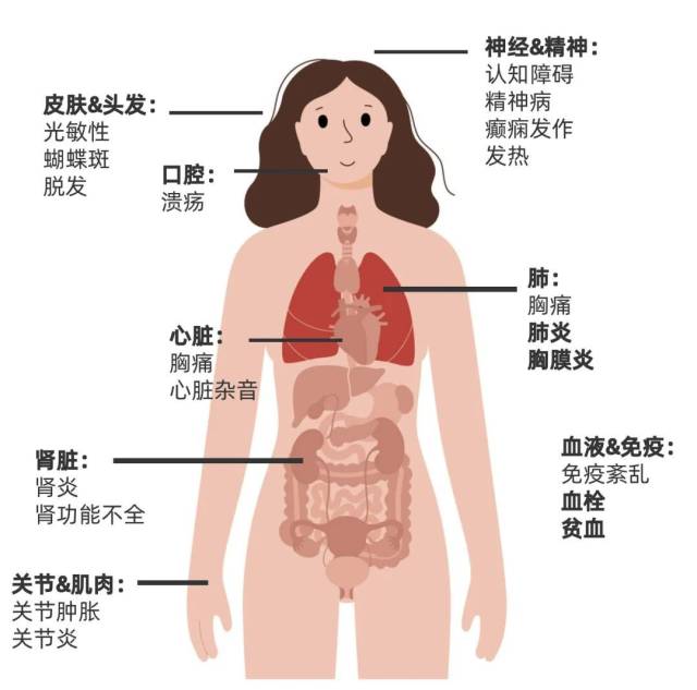 第7211页