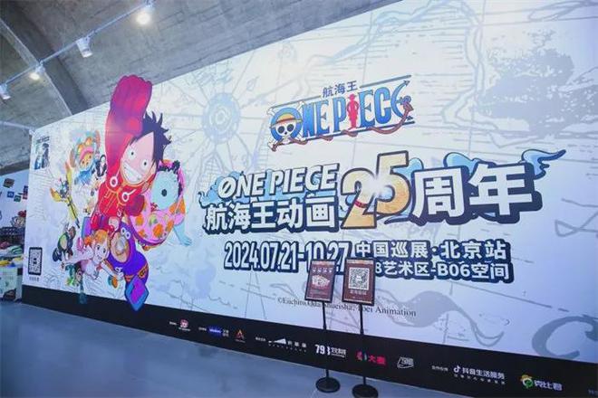 海贼王最新动态揭秘，热血航海的无限魅力探索