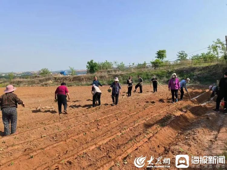 青州最新招聘动态，科技驱动招聘革新，重塑体验引领未来