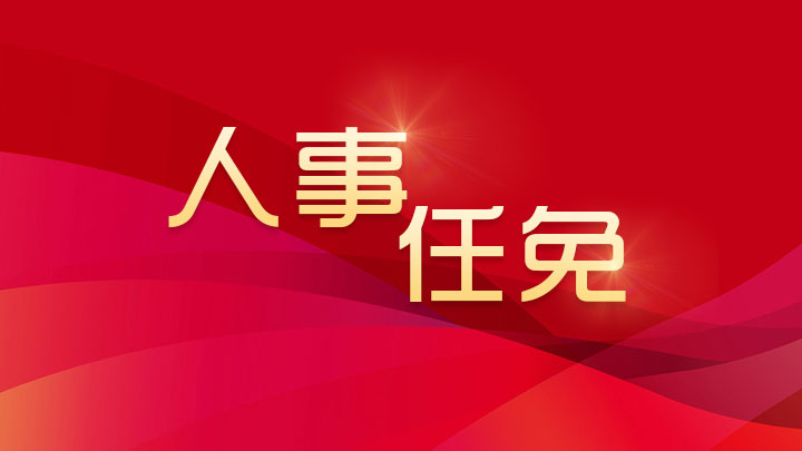 泰安最新人事任免动态更新