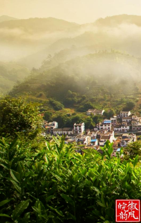 自然美景探索之旅 第12页