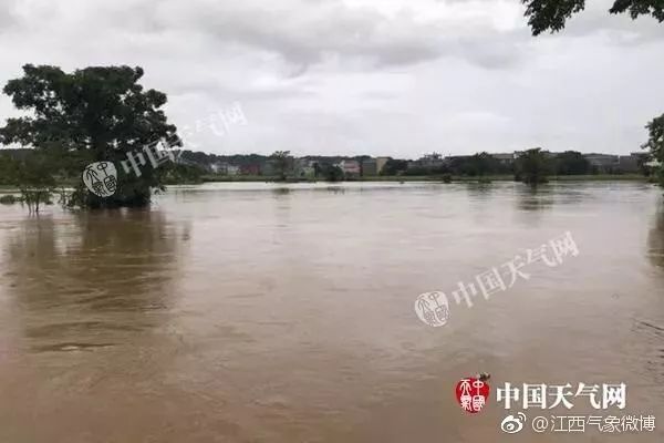 江西暴雨灾情最新报道