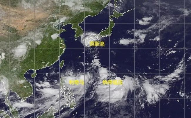 风雨中的励志力量，十一号台风最新消息