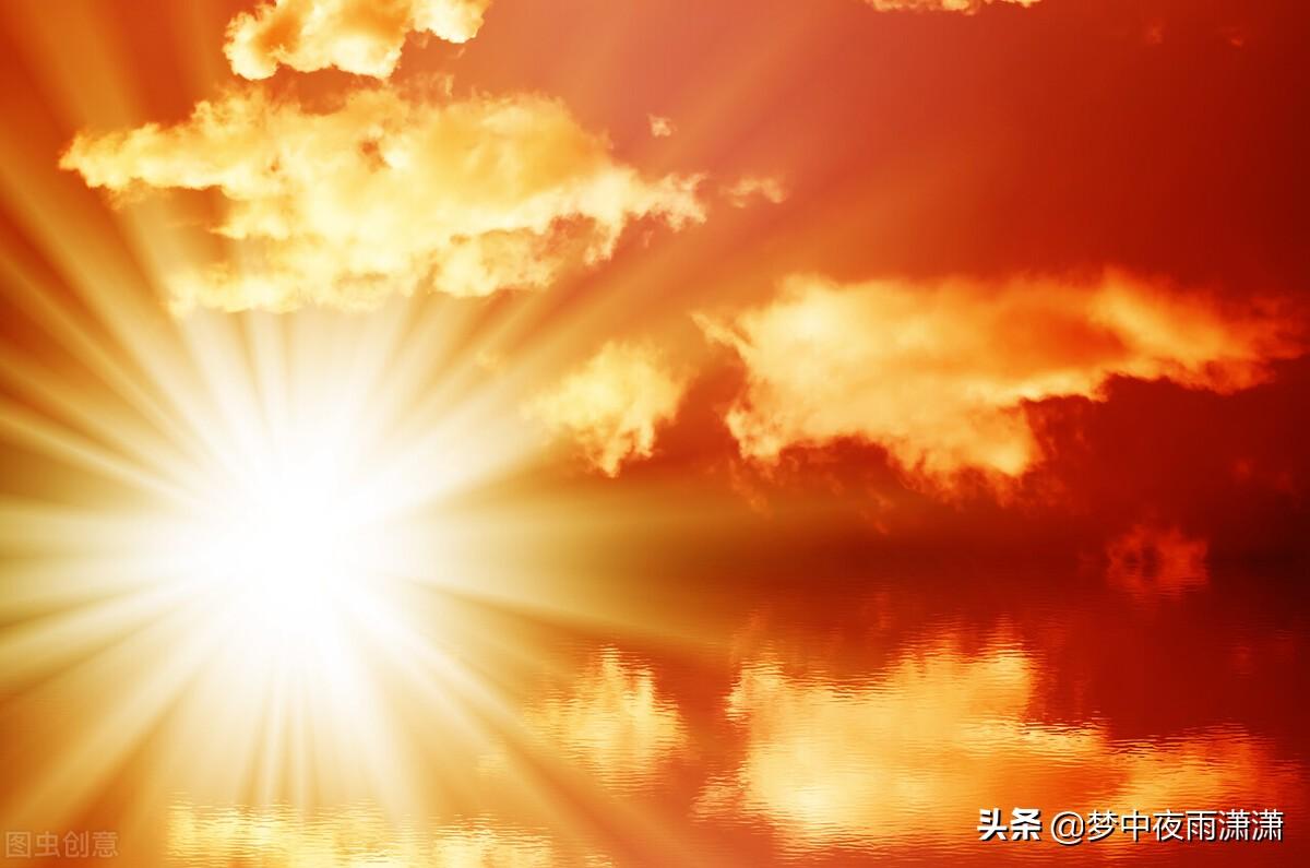 台风带来的交响曲，挑战、机遇与成长的并行之路