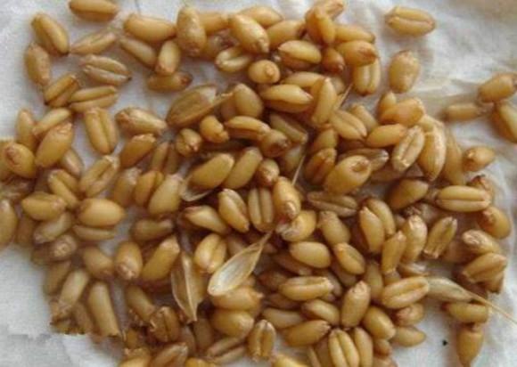 导热材料及器件 第62页