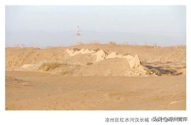 武威红柳广告最新招聘，求职步骤指南全解析