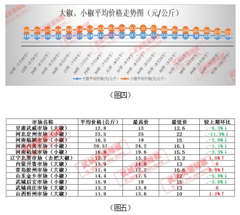今日辣椒价格行情，科技与生活的无缝对接新动态