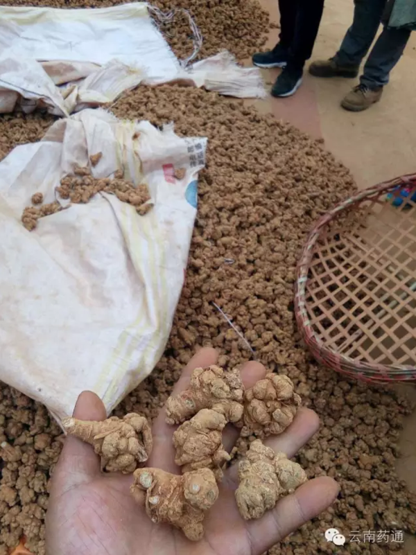 导热材料及器件 第40页