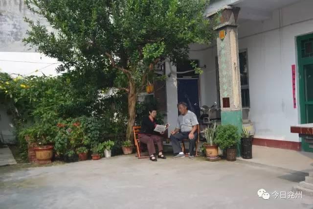 门面最新牌匾图片大全，展现学习、变化与自信的力量