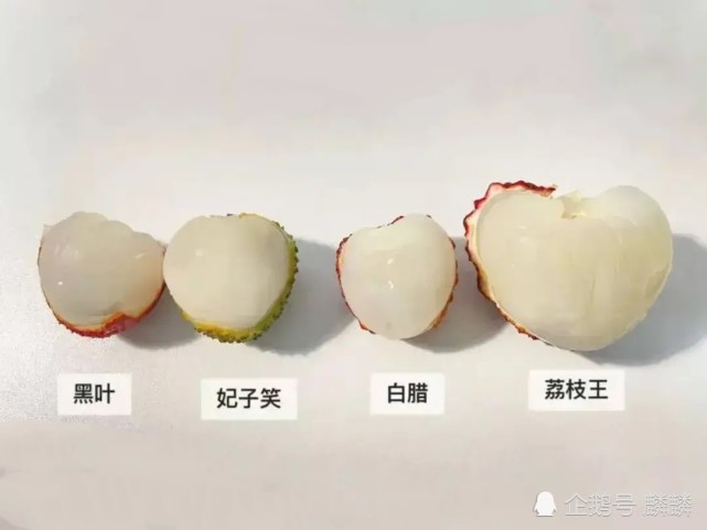 潘火最新规划图揭秘，未来城市蓝图展望，引人瞩目！