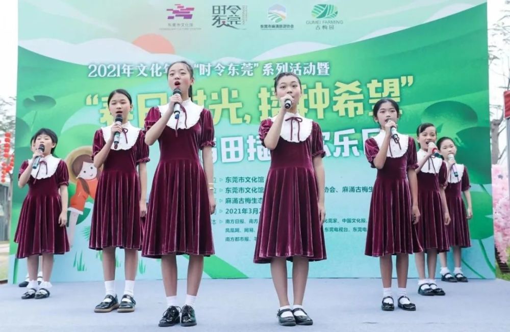 唐山路南稻地最新动态，稻田边的欢乐时光揭秘