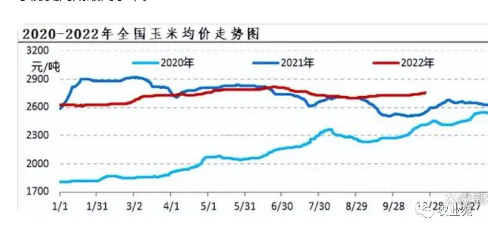 东北玉米最新价格行情与巷弄深处的美食探秘