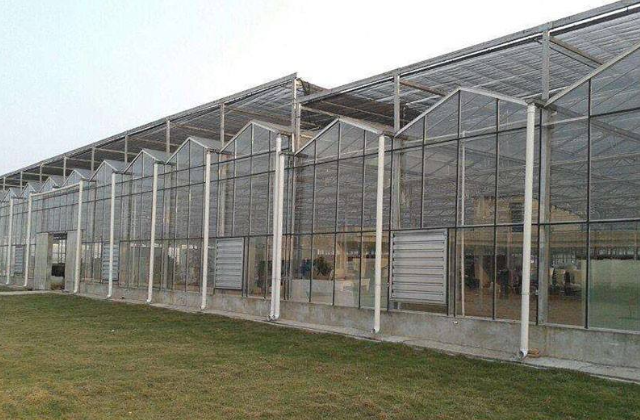 暖棚建造最新方法,暖棚建造最新方法，学习变化，自信成就
