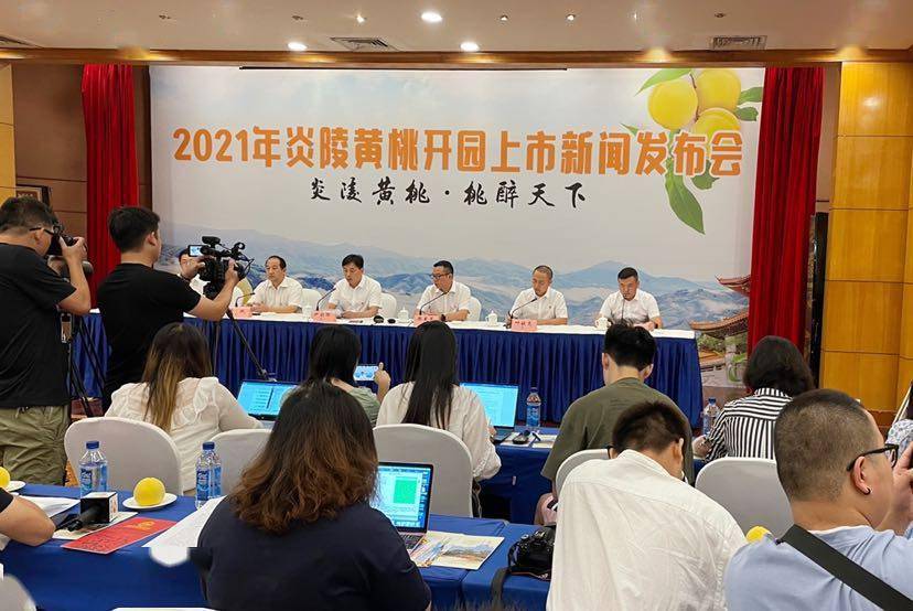 湖南炎陵最新动态报道速递