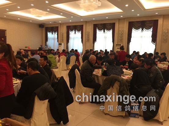 沈阳中天赛鸽俱乐部最新动态深度报道