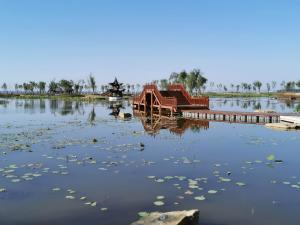 长治湿地公园最新动态揭秘，生态建设的蓬勃发展