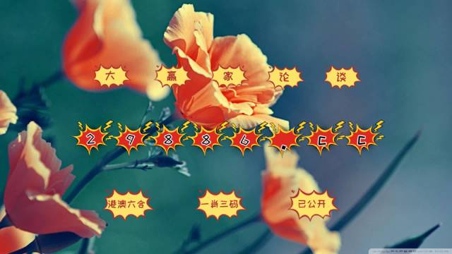 49图库图片+资料,49图库精彩图片与资料分享_娱乐版4.22