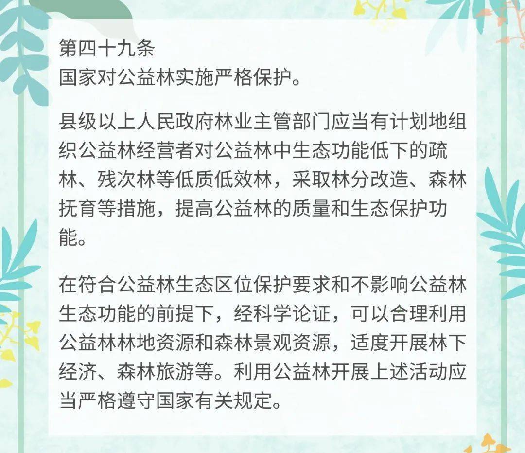 宁北苏清荷最新更新章节免费阅读及详细步骤指南