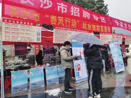 绍兴e网最新招聘求职，小巷深处的职业机遇探索