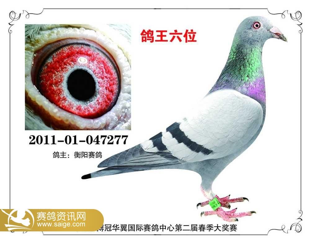 第6327页