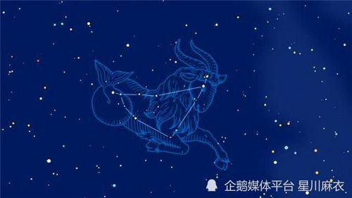 摩羯最新路径探索与解析报告