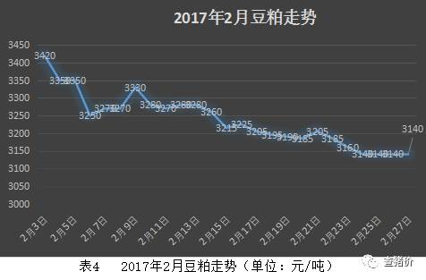 豆粕最新价格动态，变化中的学习成就自信之源