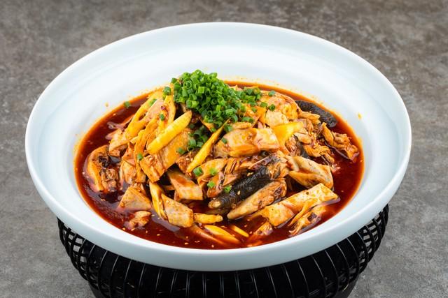 浙江疫情最新动态与小巷美食探访，美食宝藏揭秘