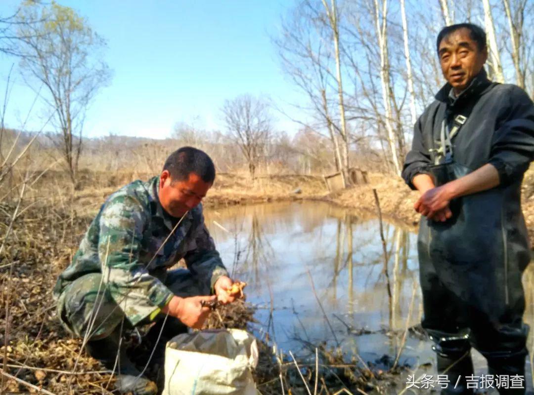 陈不凡下山小说全文最新免费阅读，小红书独家推荐