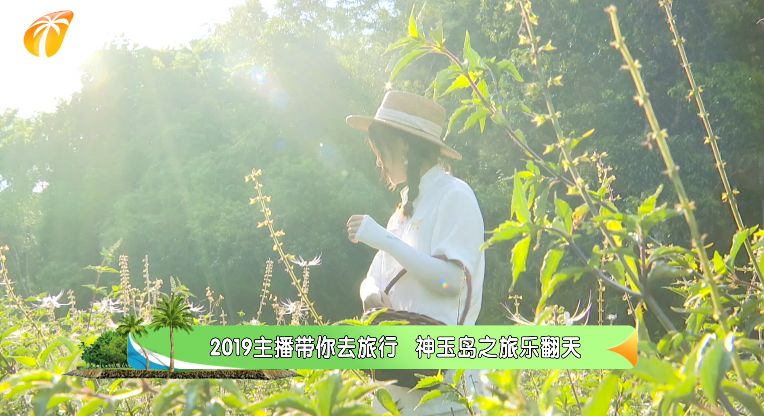 乔梁叶心仪最新故事，自然美景的心灵之旅