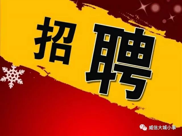 石家庄最新招聘信息揭秘，小巷中的独特工作风味