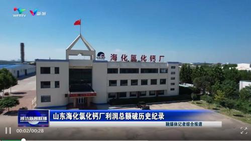 山东海化扬帆启航，最新利好引领蓝色新篇章谱写之路