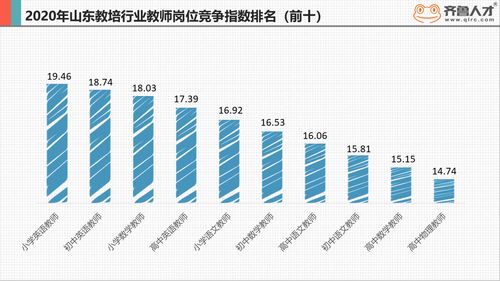 齐鲁人才网最新招聘信息全面解析，观点阐述与分析