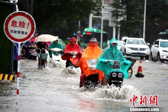 浙江舟山台风最新动态，逆风破浪，展现学习成长的力量