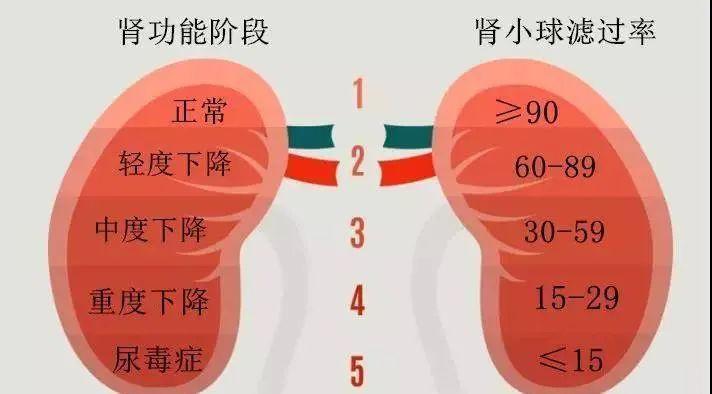 干细胞领域最新动态与进展更新