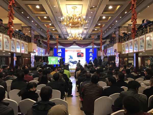 宁夏黄河赛鸽公棚最新公告，自然之旅寻找内心宁静与平和