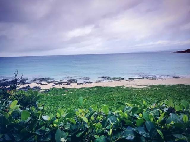 TVB最新节目，探索自然美景的旅行，追寻内心的平和之旅
