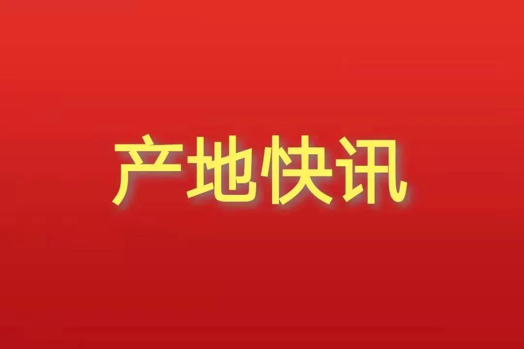 河南花生价格最新行情分析与趋势预测