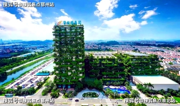 韶关碧桂园最新房价概览与指南
