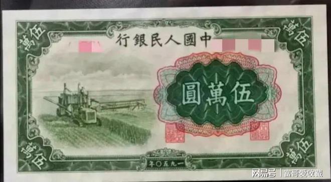 派币今天最新官方消息真实,小巷中的隐藏特色小店探秘