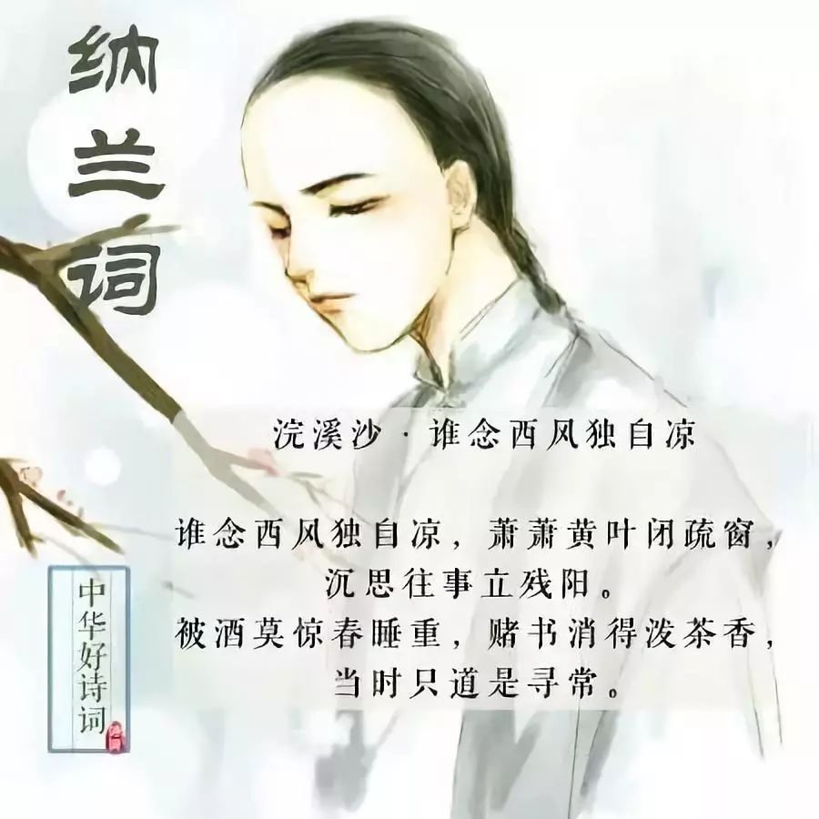 叶揽希赫司尧小说