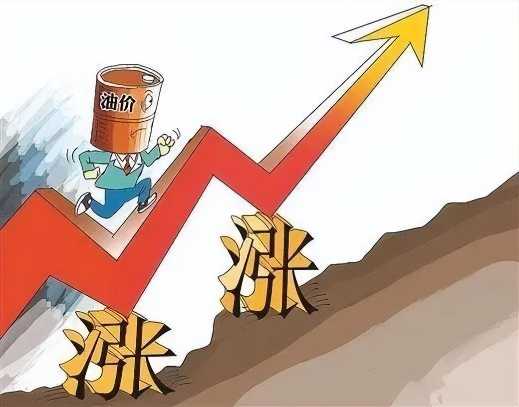 最新动态 第13页