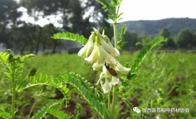 第3861页