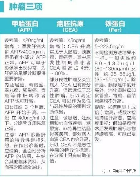 黄大仙三肖三码必中三,解析解释说法_XAL34.733实用版