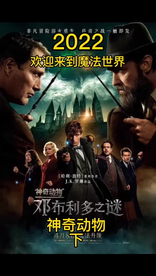 最新电影推荐，探索最新上映的电影作品