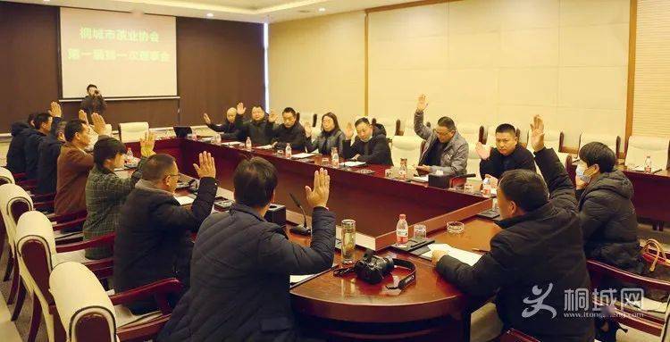 桐城最新新闻报道汇总