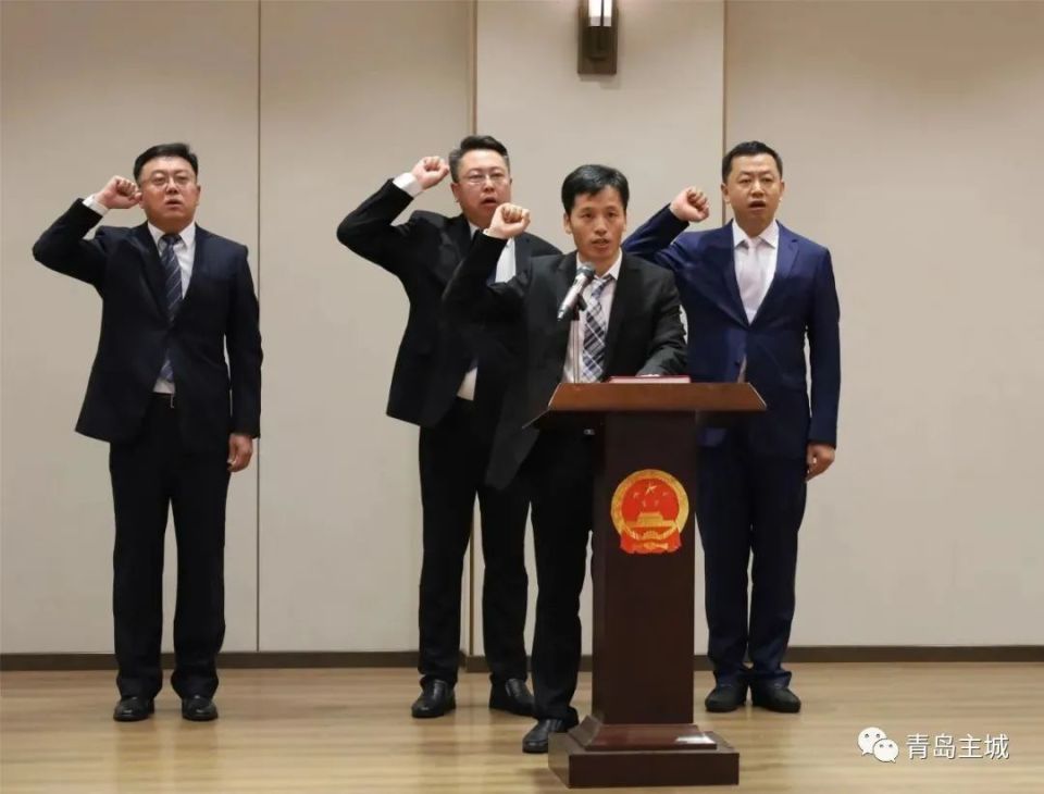 青岛最新人事任免动态更新