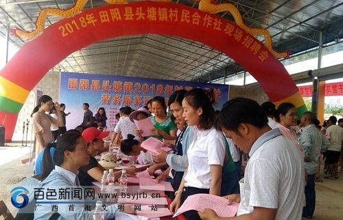 田阳招聘网最新招聘动态及解析