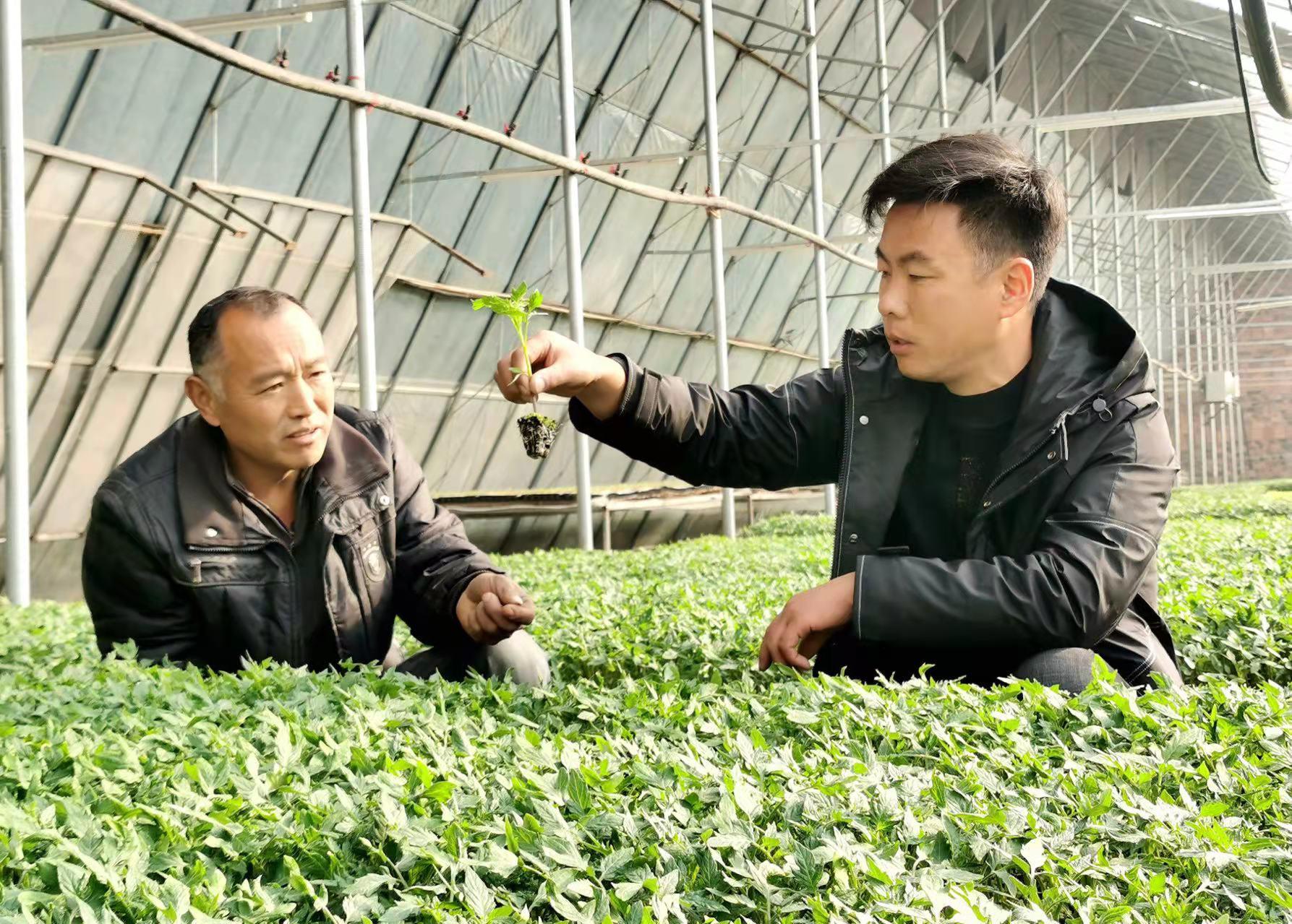 鹏欣资源最新动态速递📣