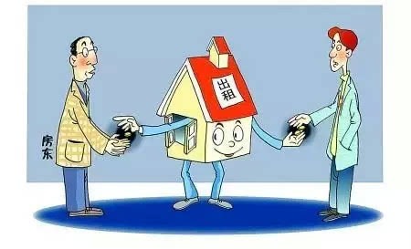 博世科最新动态，日常趣事与情感纽带揭秘