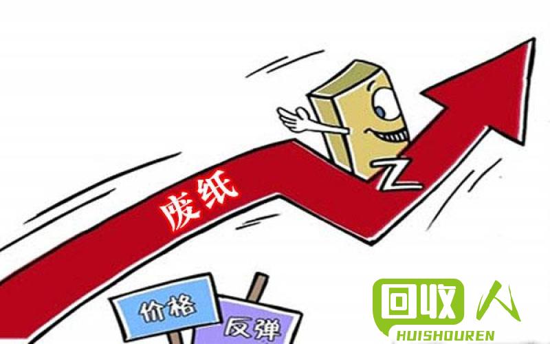 废纸价格最新行情动态更新📰